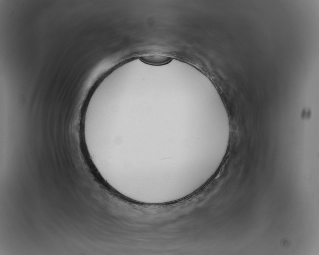 X0000101180006200807250950