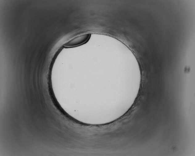 X0000101180007200807250950