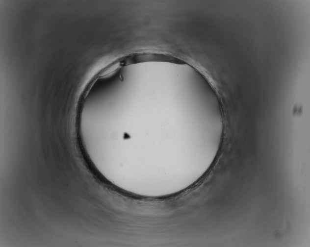 X0000101180008200807250950