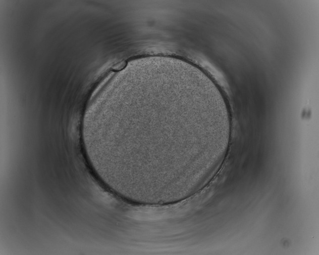 X0000101180009200807250950