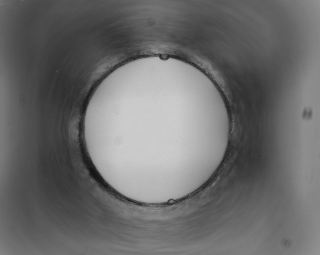 X0000101180010200807250950