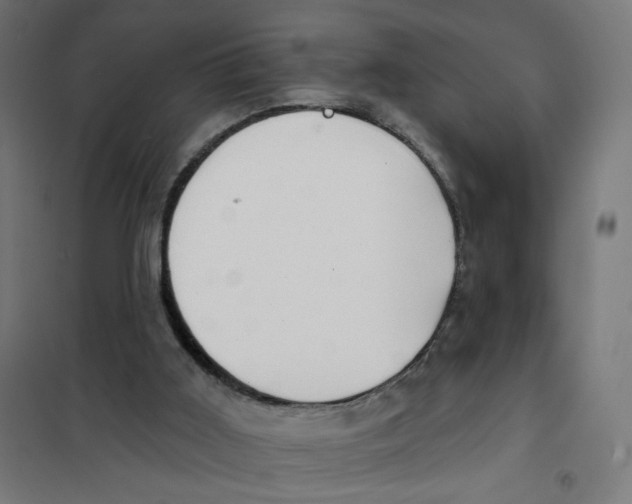 X0000101180011200807250950