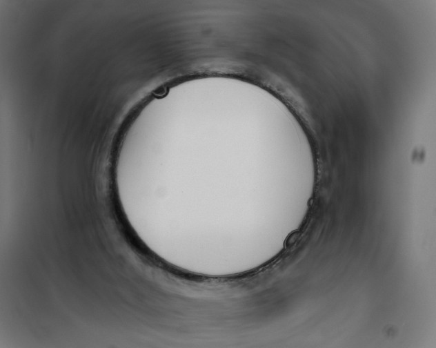 X0000101180012200807250950