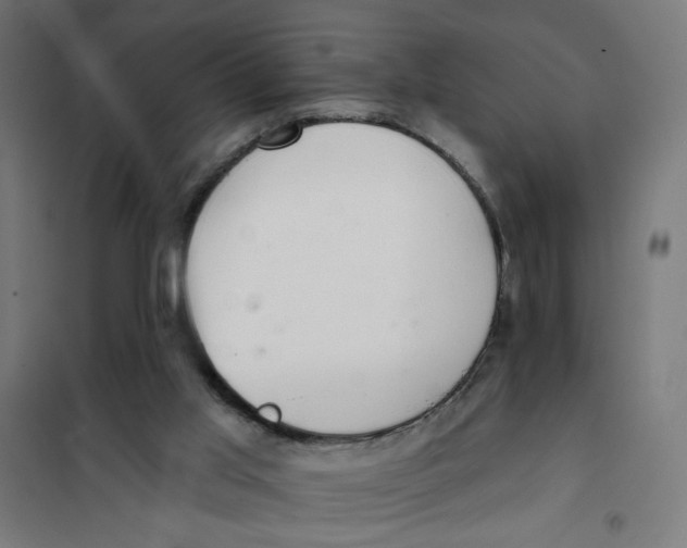 X0000101180013200807250950