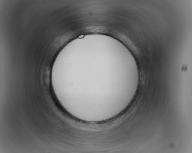 X0000101180014200807250950