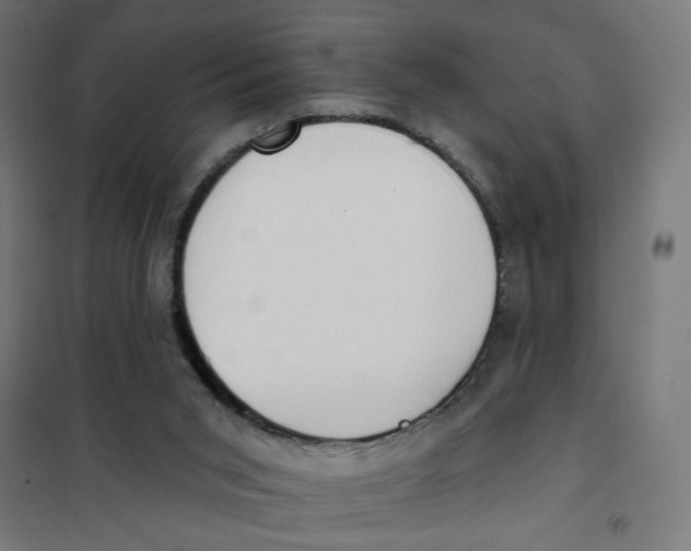 X0000101180015200807250950