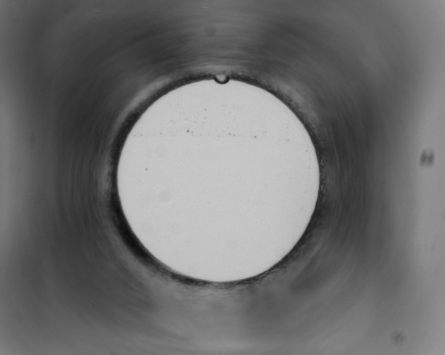 X0000101180016200807250950