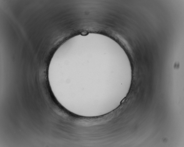 X0000101180017200807250950