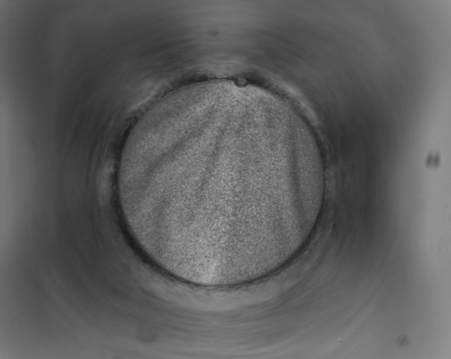 X0000101180018200807250950