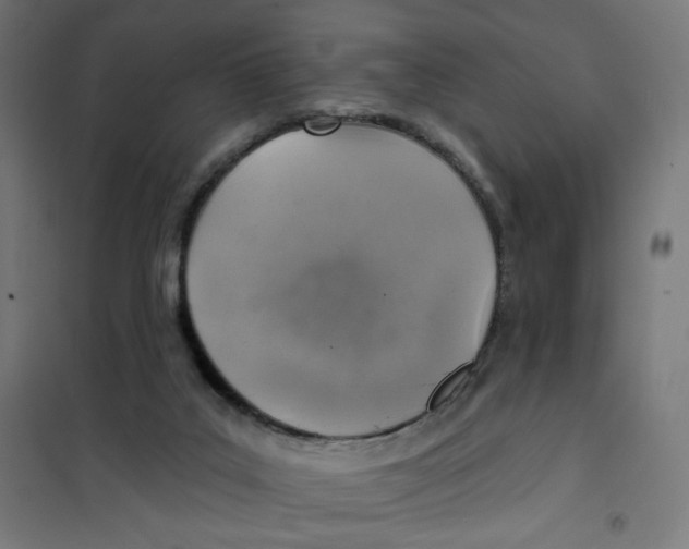 X0000101180019200807250950