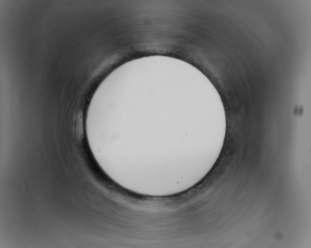 X0000101180020200807250950