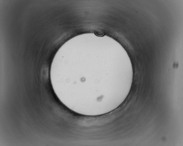 X0000101180021200807250950