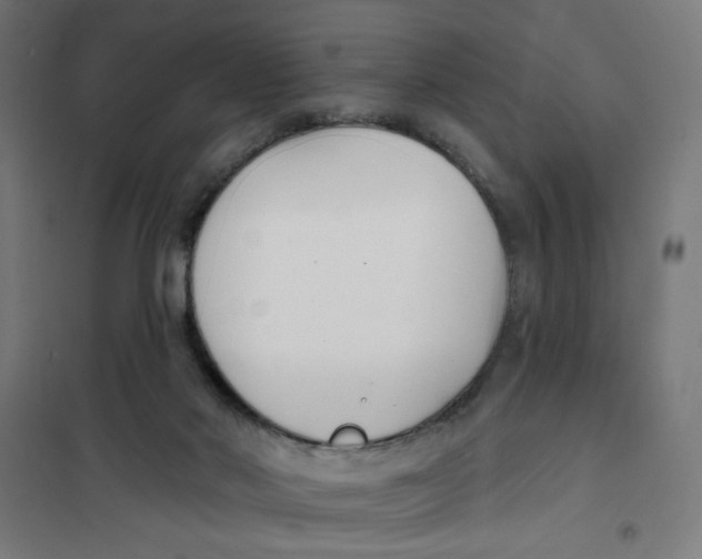 X0000101180022200807250950