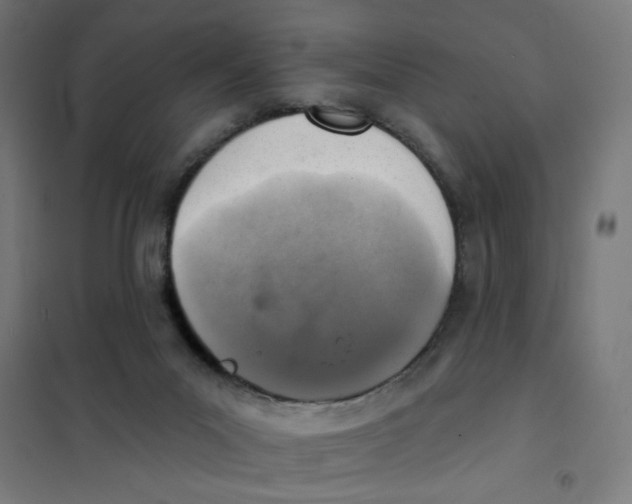 X0000101180023200807250950