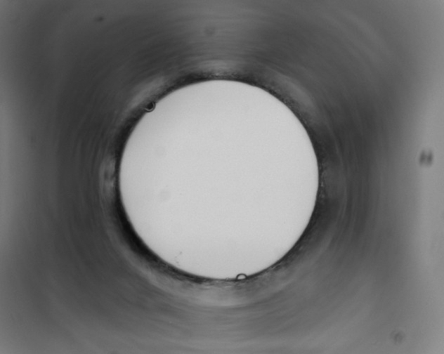 X0000101180024200807250950