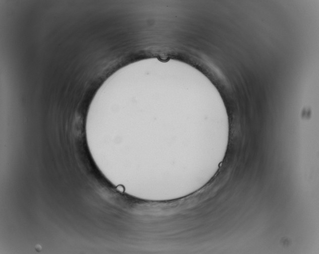 X0000101180025200807250950