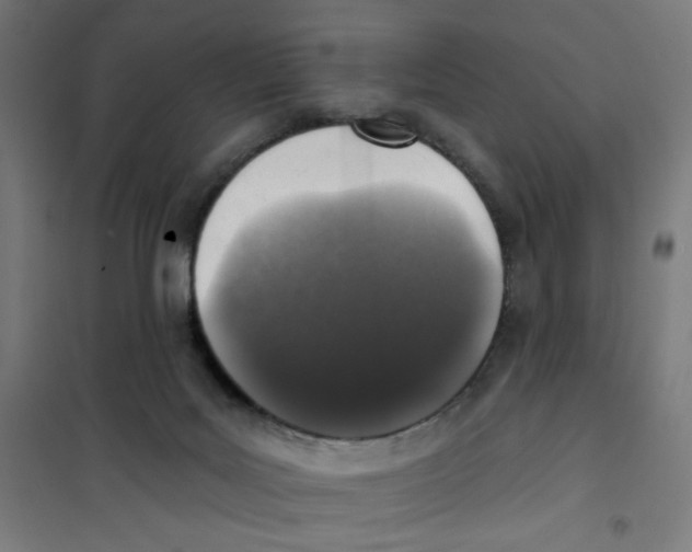 X0000101180027200807250950