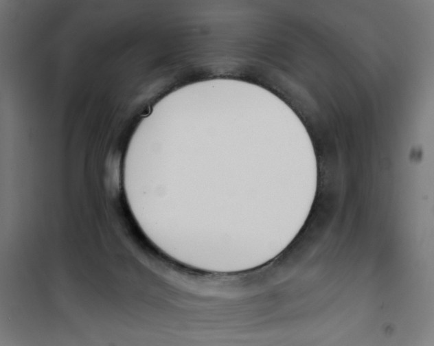 X0000101180028200807250950