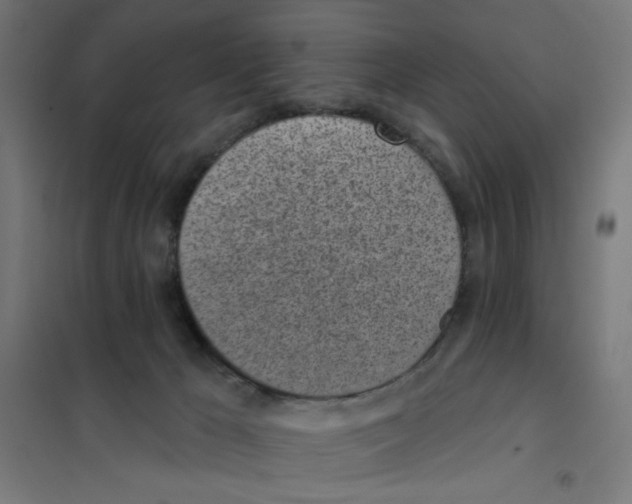 X0000101180029200807250950