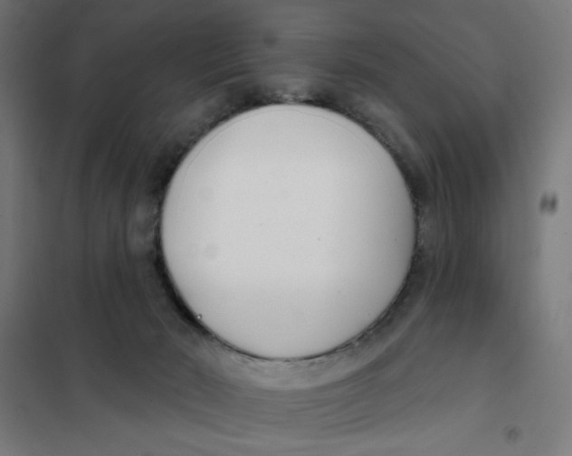 X0000101180030200807250950