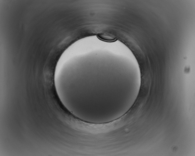 X0000101180031200807250950