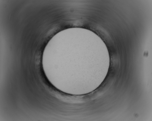 X0000101180032200807250950