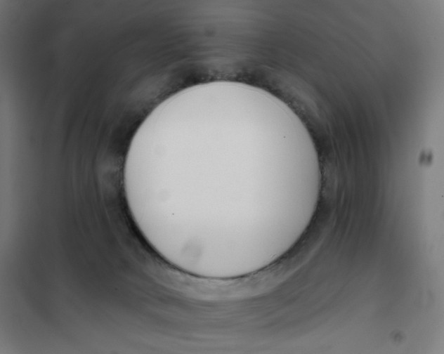 X0000101180034200807250950