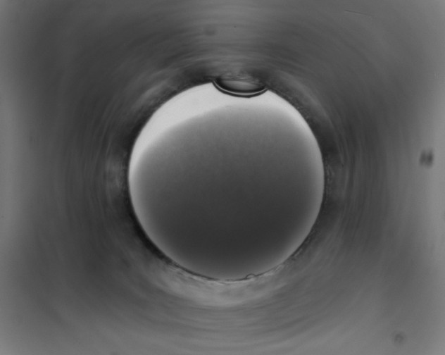 X0000101180035200807250950