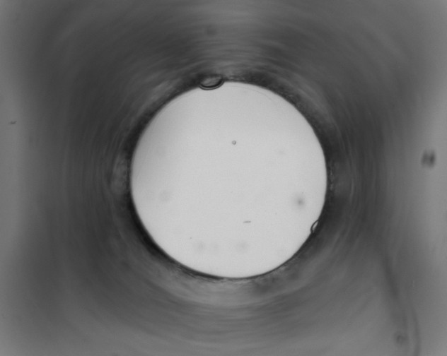 X0000101180036200807250950