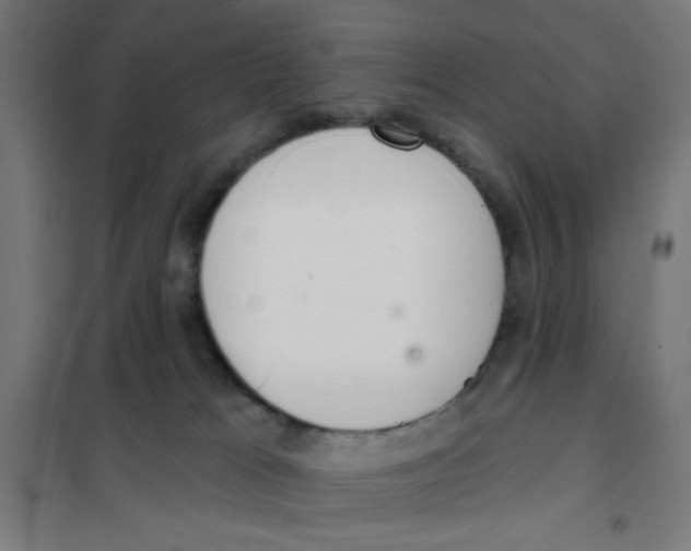 X0000101180037200807250950