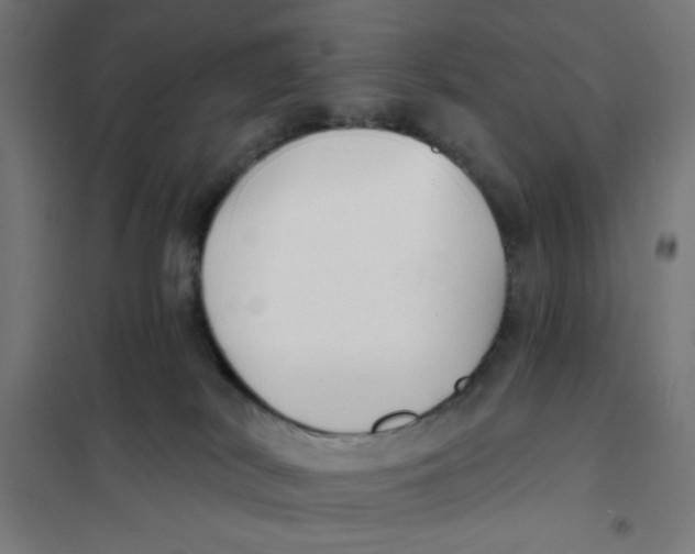 X0000101180038200807250950