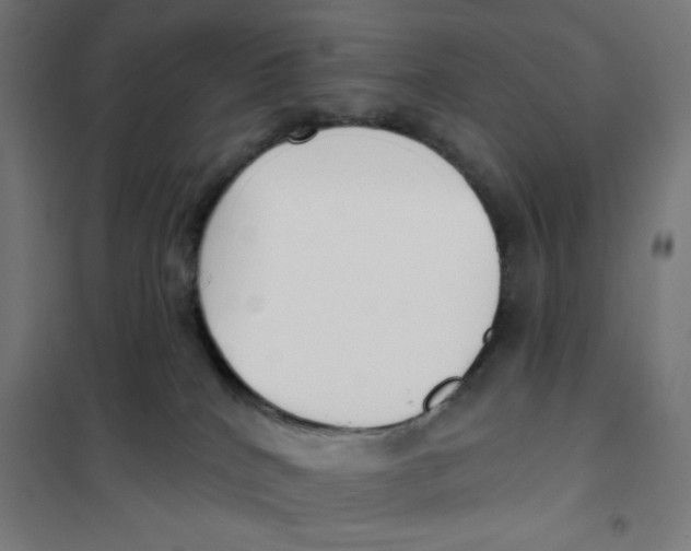 X0000101180040200807250950