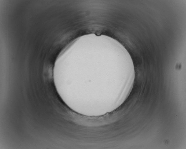 X0000101180042200807250950