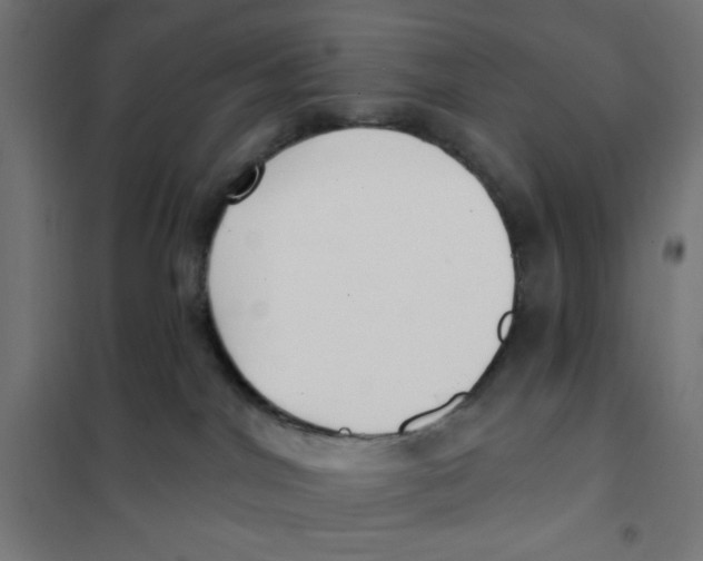 X0000101180044200807250950