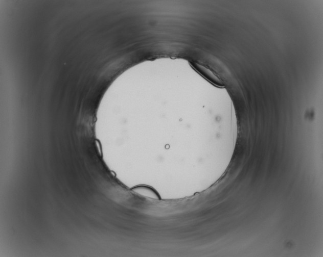 X0000101180045200807250950