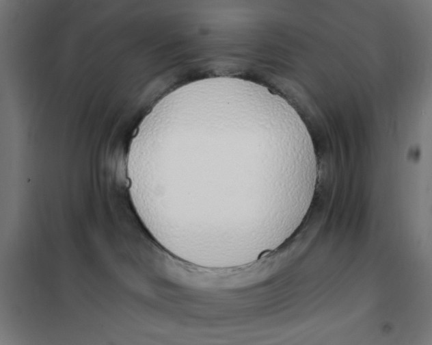 X0000101180046200807250950