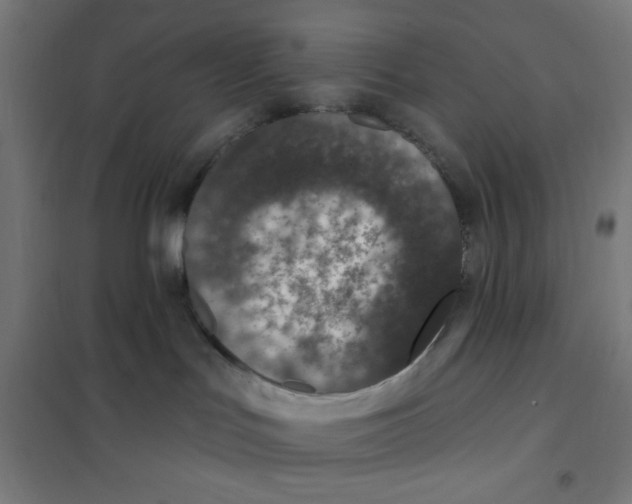 X0000101180047200807250950