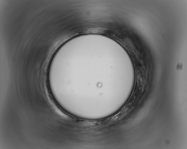 X0000101180049200807250949