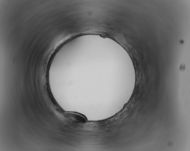 X0000101180050200807250949