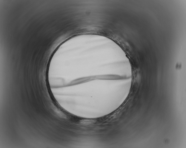 X0000101180051200807250949