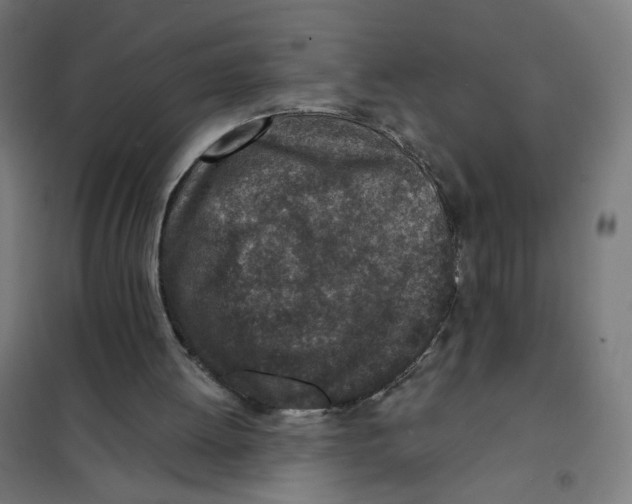 X0000101180052200807250949