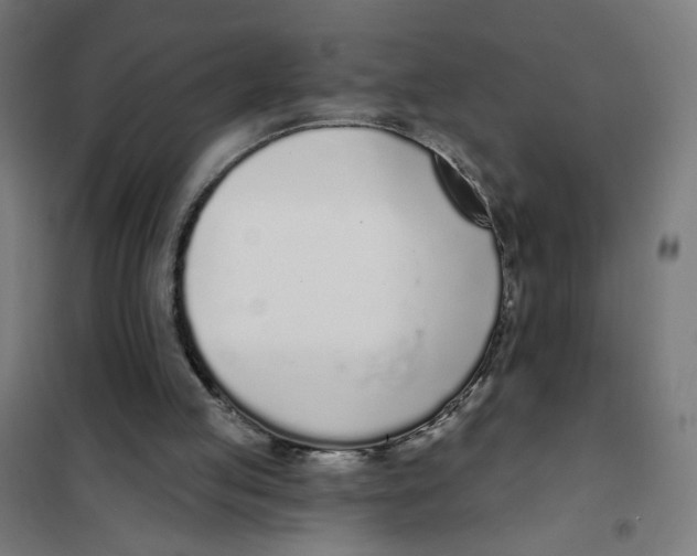 X0000101180053200807250949