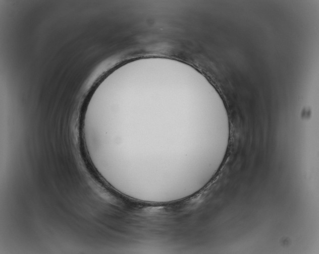 X0000101180054200807250949