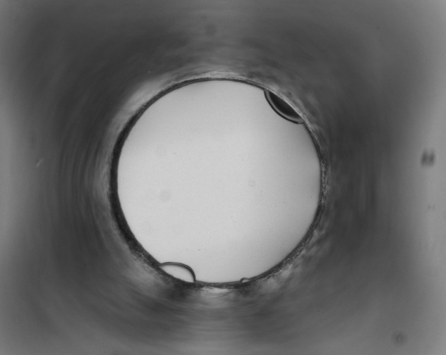 X0000101180055200807250949