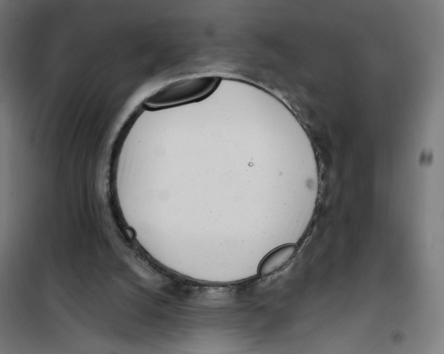 X0000101180056200807250949