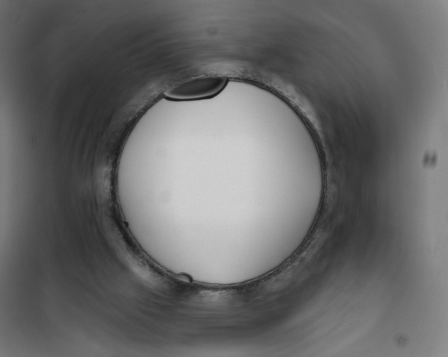 X0000101180057200807250949