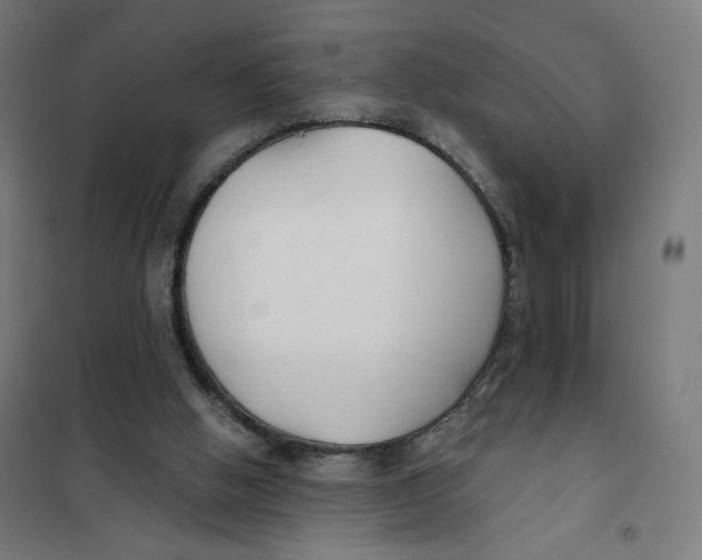 X0000101180058200807250949