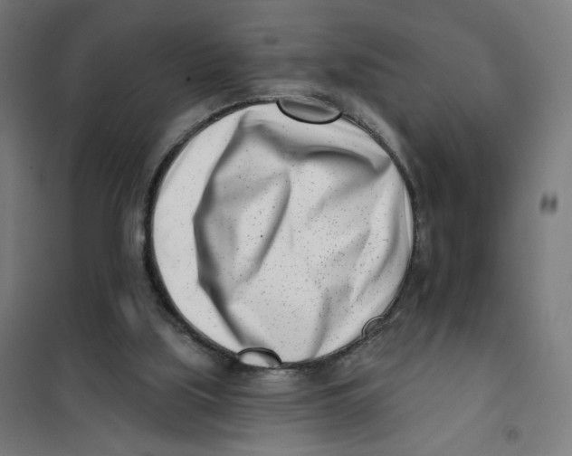 X0000101180059200807250949