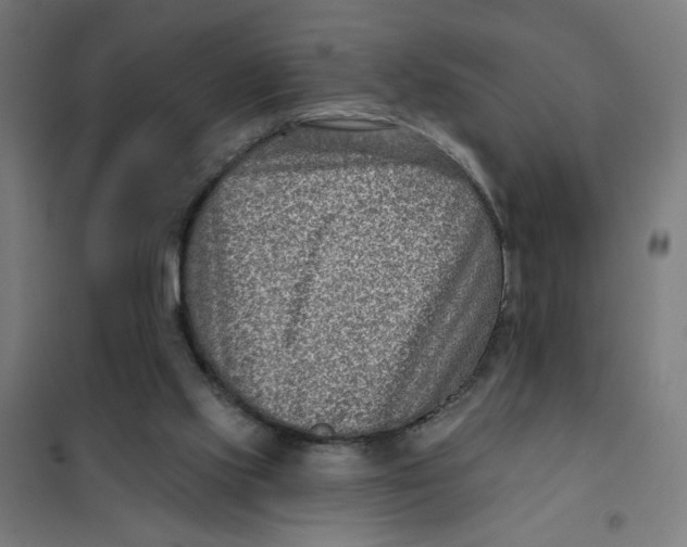 X0000101180061200807250949