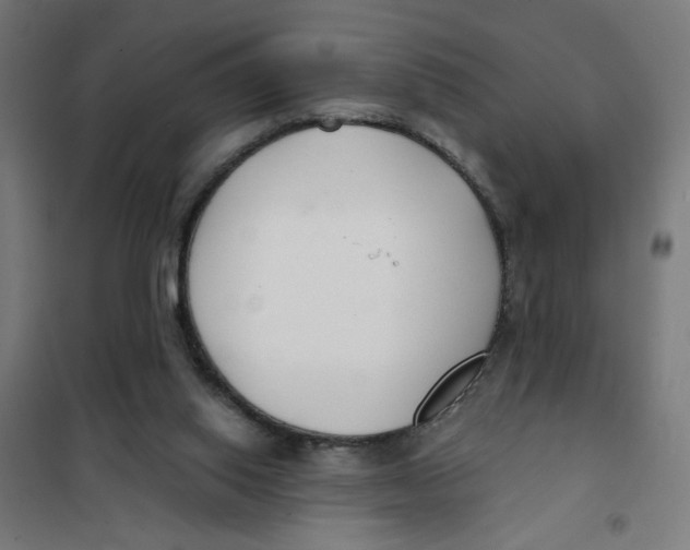 X0000101180062200807250949